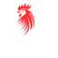 Pollo Xpress 